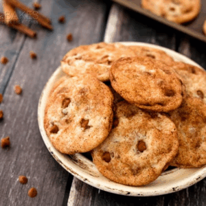 Cinnamon Chip Snicker-doodles