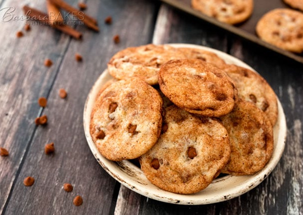 Cinnamon Chip Snicker-doodles