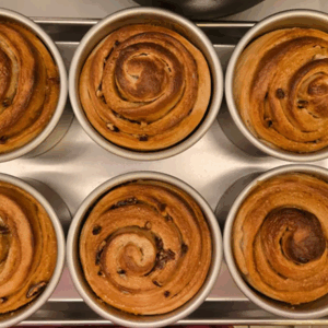 Double Chocolate Chip Sinnie